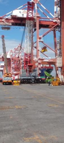 IMG-20240219-WA0051