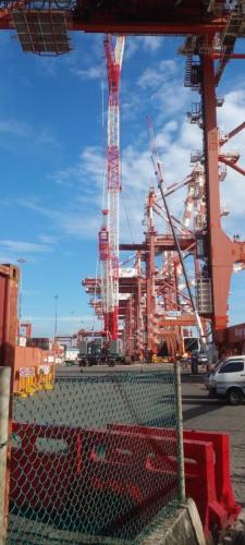 IMG-20240219-WA0117