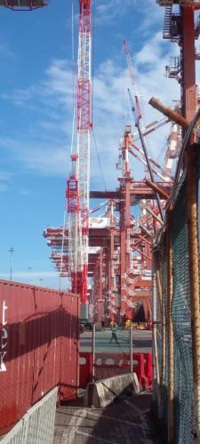 IMG-20240219-WA0118