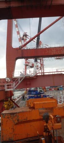 IMG-20240219-WA0141