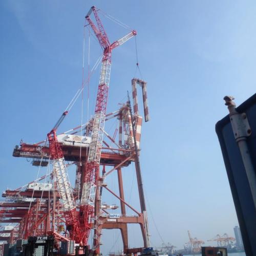 IMG-20240219-WA0174